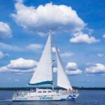 Orange Beach: Dolphin & Sailing Cruise Aboard 52' Catamaran - Final Thoughts