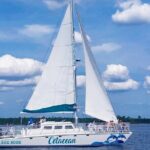 Orange Beach Dolphin Sailing Cruise aboard Catamaran - Who Is This Tour Best For?
