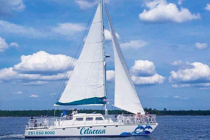 Orange Beach Dolphin Sailing Cruise aboard Catamaran - Who Is This Tour Best For?