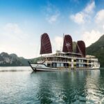 Orchid Cruises 2 Days/1Night 5 Star All included - What’s Not Perfect