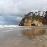 Oregon Coast Scenic Day Tour - What to Expect from This Tour