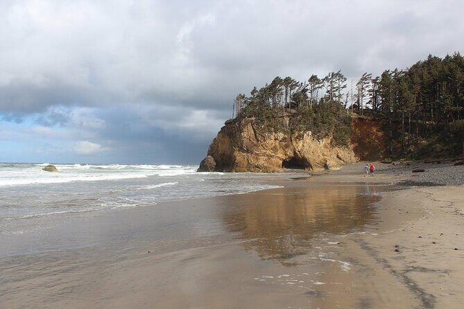Oregon Coast Scenic Day Tour - What to Expect from This Tour