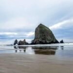 Oregon Coast Tour and Wine Tasting From Portland- Full Day Tour - Who Should Consider This Tour?