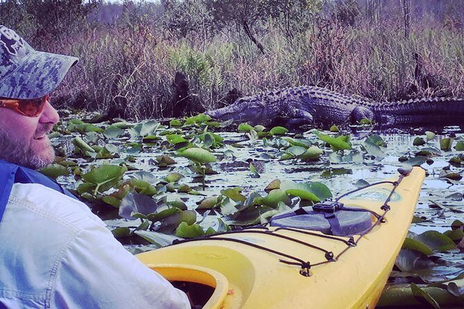 Orlando Alligator Experience - Frequently Asked Questions