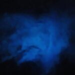 Orlando Bioluminescence Kayak Adventure - Who Should Take This Tour?