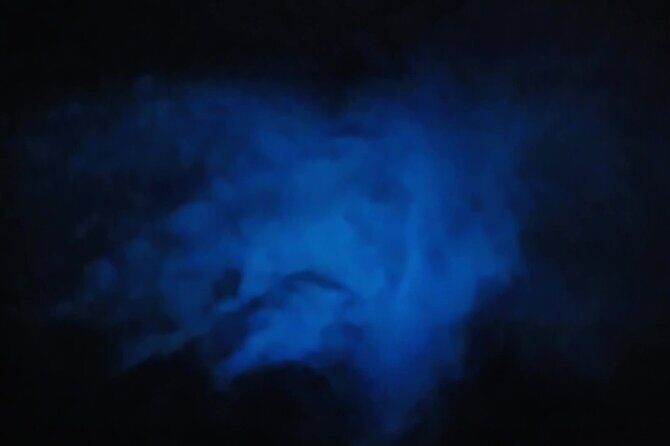 Orlando Bioluminescence Kayak Adventure - Who Should Take This Tour?