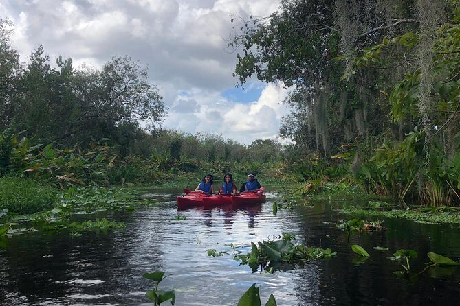 Orlando Manatee Encounters - Who Should Book This Tour?