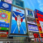 Osaka: 1-Day Guided Tour - Sky Bldg, Castle, Namba Shinsekai - Analyzing the Value