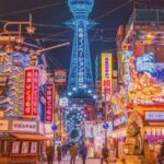 Osaka: 1-Day Private Customizable Trip by Car - What’s Included and What’s Not