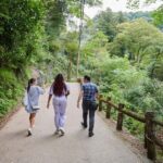 Osaka: 2.5-Hour Private Scenic Hike to Minoo Waterfall - What to Expect: A Step-by-Step Breakdown