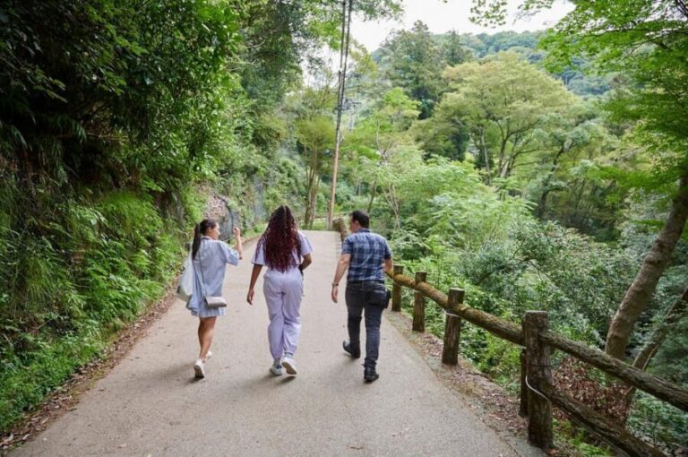 Osaka: 2.5-Hour Private Scenic Hike to Minoo Waterfall - What to Expect: A Step-by-Step Breakdown