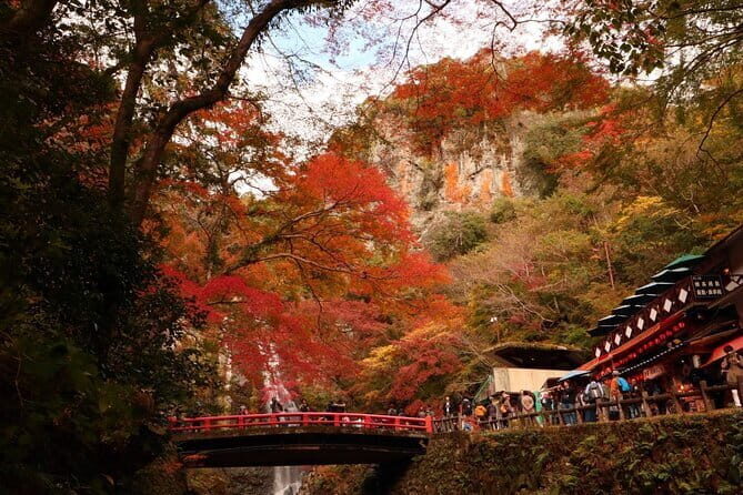 Osaka 8 Hours Tour Explore City and Minoh Falls - Authentic Experiences and Traveler Insights