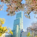 Osaka: Abeno Harukas 300 Observatory E-Ticket - What Reviewers Say