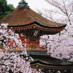 Osaka and Kansai Private Customized Day Tour - Authenticity and Value