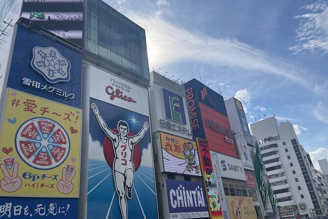 Osaka and Kyoto with National licensed guide by Private Car - Practical Details That Matter