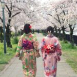 Osaka Cherry Blossom Tour with a Local: 100% Personalized Private - Who Would Enjoy This Tour?