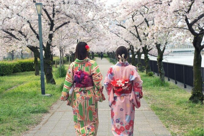 Osaka Cherry Blossom Tour with a Local: 100% Personalized Private - Who Would Enjoy This Tour?