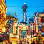 Osaka City English Private Tour Hotel Pickup Sightseeing - Who Is This Tour Best For?