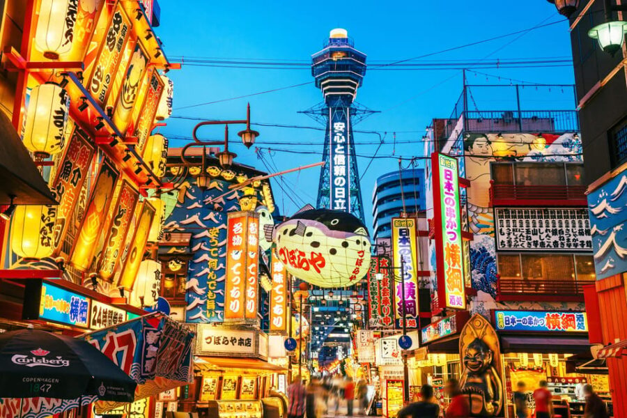 Osaka City English Private Tour Hotel Pickup Sightseeing - Who Is This Tour Best For?