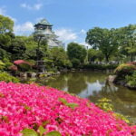 Osaka: City Highlights Bike Tour - The Sum Up: Is This Tour Right for You?