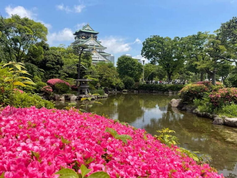 Osaka: City Highlights Bike Tour - The Sum Up: Is This Tour Right for You?