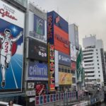 Osaka City Highlights One Day Private Tour - A Moment to Appreciate: What to Expect at Each Stop
