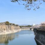 Osaka: Full-Day City Tour with a Guide and Public Transport - Who should consider this tour?