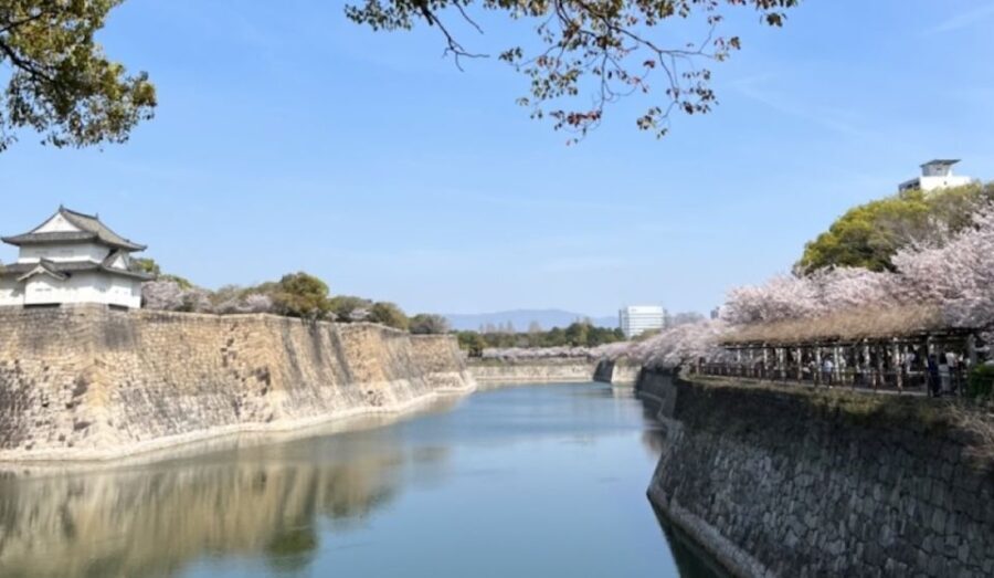 Osaka: Full-Day City Tour with a Guide and Public Transport - Who should consider this tour?