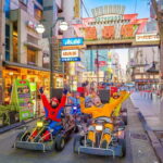 Osaka: Guided Go Karting Tour in a Funny Costume - Authentic Reviews and Personal Experiences