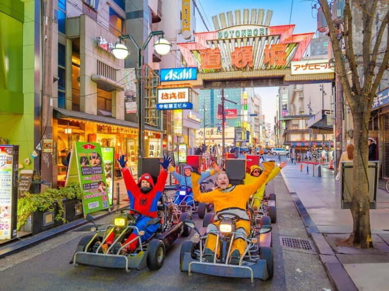 Osaka: Guided Go Karting Tour in a Funny Costume - Authentic Reviews and Personal Experiences
