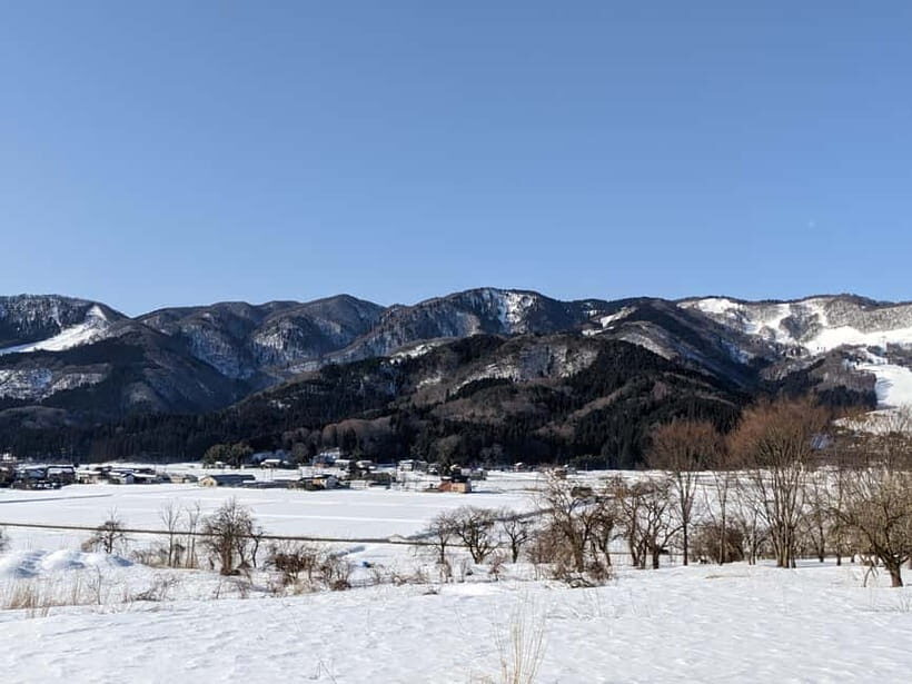 Osaka: Kinosaki Hot Springs and Temple Tour with Meals - Ankokuji Temple and the Dodan Tsutsuji