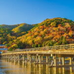 Osaka/Kyoto: Arashiyama, Nara & Fushimi Inari Shrine w/Lunch - What Travelers Say: Authentic Feedback