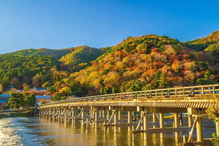 Osaka/Kyoto: Arashiyama, Nara & Fushimi Inari Shrine w/Lunch - What Travelers Say: Authentic Feedback