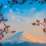 Osaka, Kyoto & Nara 5 Days Tour with Accomodation - Practical Tips for Your Trip