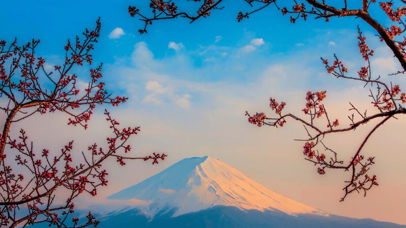 Osaka, Kyoto & Nara 5 Days Tour with Accomodation - Practical Tips for Your Trip