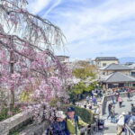 Osaka/Kyoto/Nara: Private Full-Day Sightseeing Tour - Final Thoughts: Is It Worth It?