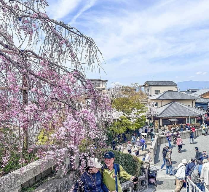 Osaka/Kyoto/Nara: Private Full-Day Sightseeing Tour - Final Thoughts: Is It Worth It?