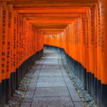 Osaka: Kyoto & Nara & Uji Historical and Scenic One-Day Tour - The Sum Up