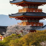 Osaka: Kyoto & Uji Historical Sites and Scenic Delights Tour - Authentic Experiences and Value