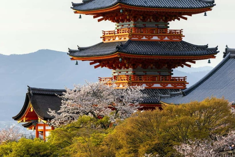 Osaka: Kyoto & Uji Historical Sites and Scenic Delights Tour - Authentic Experiences and Value