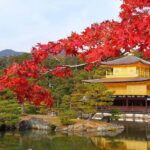 Osaka/Kyoto:Kinkakuji,Arashiyama,FushimiInariShrine,NaraPark - Authentic Experiences and Practical Tips