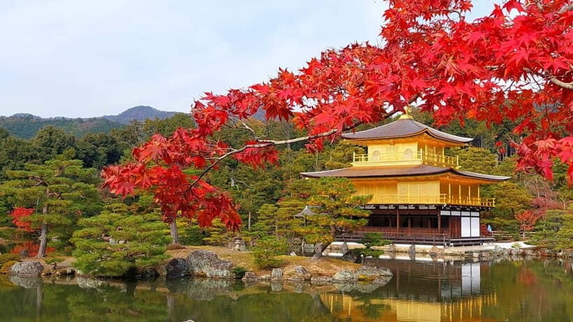 Osaka/Kyoto:Kinkakuji,Arashiyama,FushimiInariShrine,NaraPark - Authentic Experiences and Practical Tips