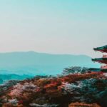 Osaka : Must-see & Hidden Gems Walking Tour - Why This Tour Works Well