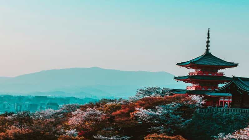 Osaka : Must-see & Hidden Gems Walking Tour - Why This Tour Works Well