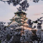 Osaka/Nara/Kyoto: Private Tour with English-Speaking Guide - The Itinerary: What to Expect at Each Stop