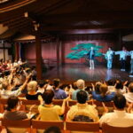 Osaka: Noh Performance with English Subtitles and Workshop - Who Should Consider This Tour?