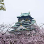 Osaka: Osaka Castle 3 hours Historical Walking Tour - Who Would This Tour Suit Best?