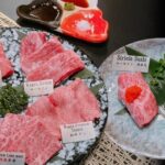 Osaka: Premium Wagyu Yakiniku at Nikuoroshi Mannoya Bettei - Who Should Consider This Tour?