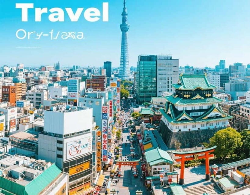 Osaka: Private Customizable Day Tour with Hotel Transfer - What to Expect from Your Guide and Vehicle