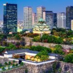 Osaka Private Pop Culture Tour: Historic Tenma to Dotonbori - What to Expect: A Closer Look at the Itinerary